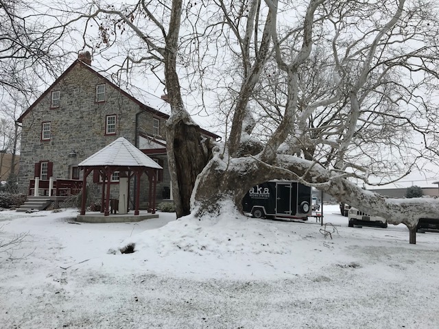 Winter SNOW Office and Tree